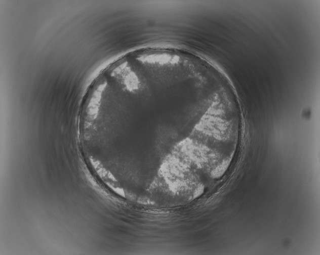X0000116120935201001040947