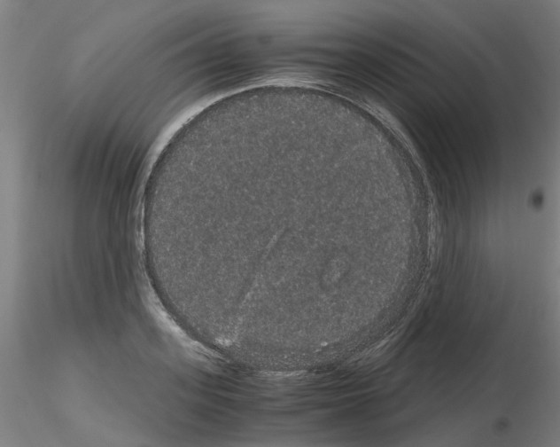 X0000116120939201001040947