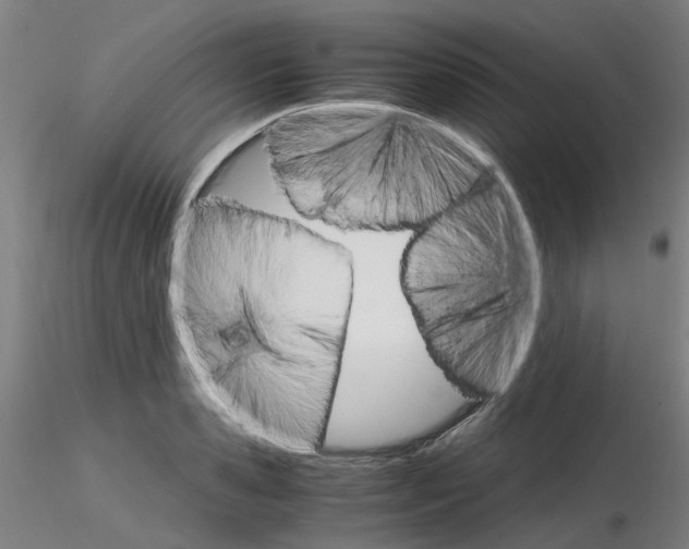 X0000116120941201001040947