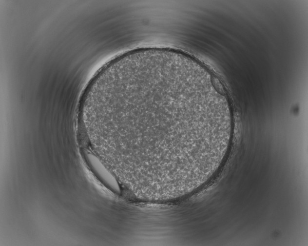 X0000116120942201001040947