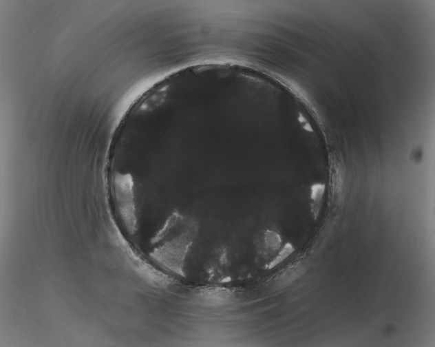 X0000116120943201001040947