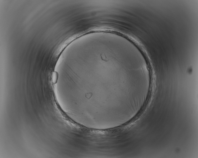 X0000116120945201001040947