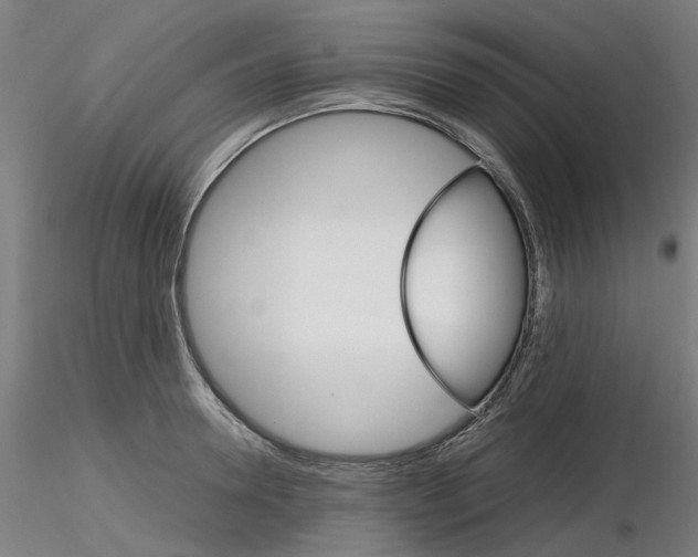 X0000116120946201001040947