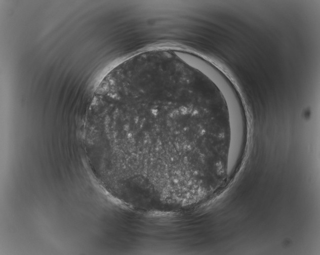 X0000116120953201001040947