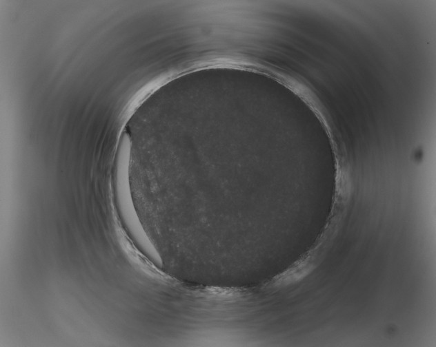 X0000116120954201001040947