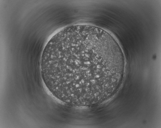 X0000116120957201001040947