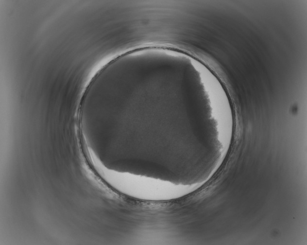 X0000116120958201001040947