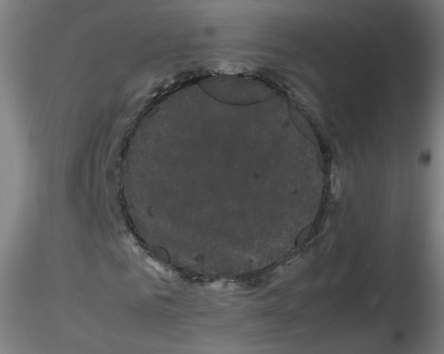 X0000116120961201001040947