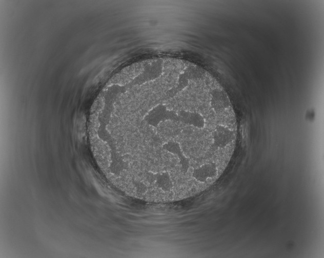 X0000116120963201001040947