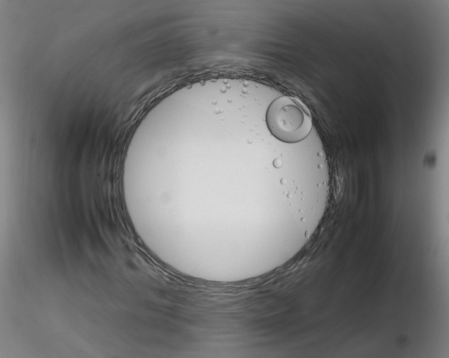 X0000116120964201001040947