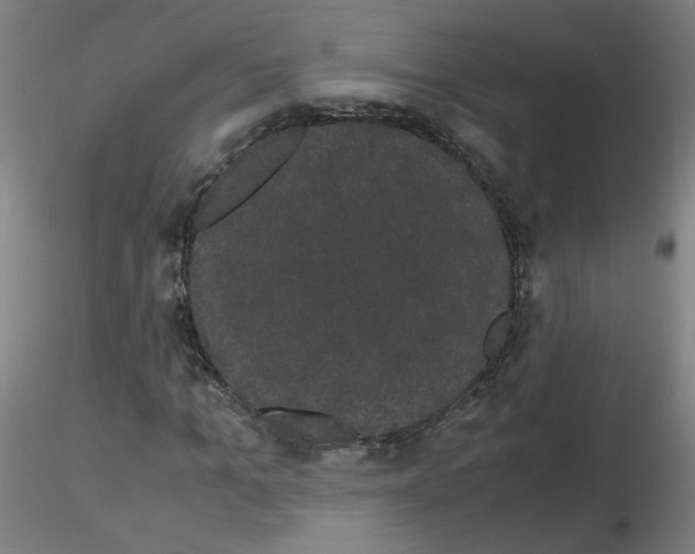 X0000116120965201001040947