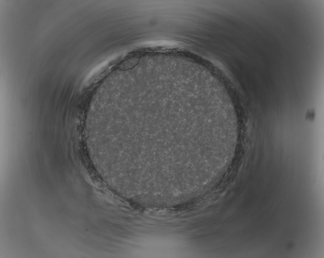X0000116120967201001040947