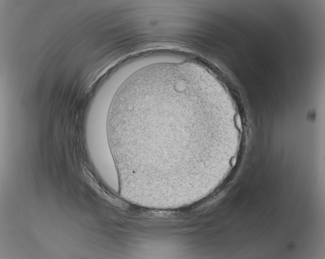 X0000116120969201001040947