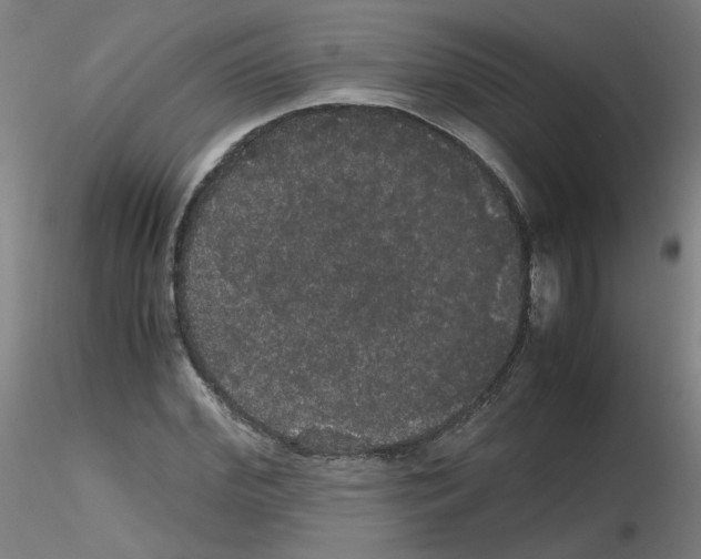 X0000116120972201001040947