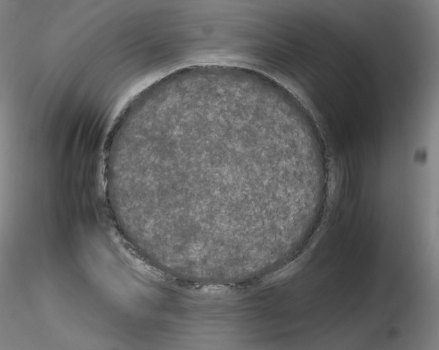 X0000116120974201001040947