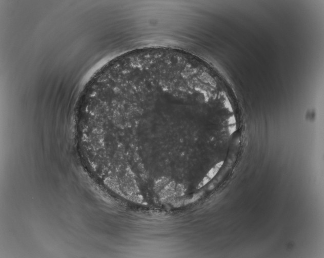 X0000116120975201001040947