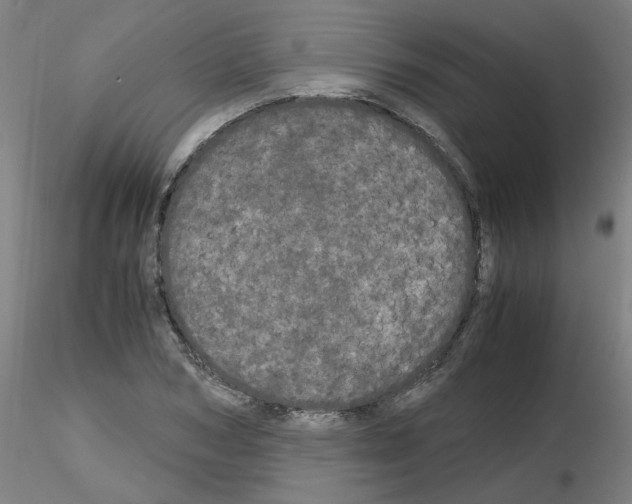 X0000116120978201001040947