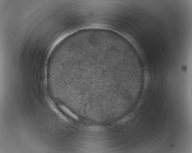 X0000116120982201001040947