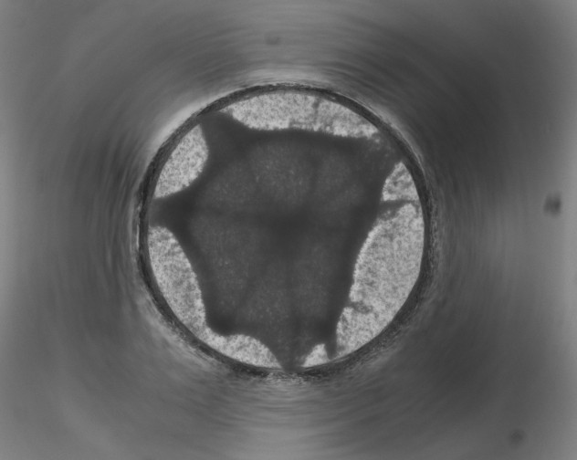 X0000116120983201001040947