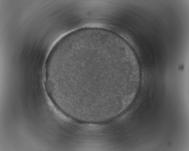 X0000116120984201001040947