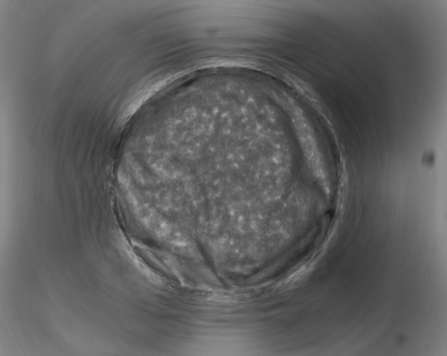 X0000116120985201001040947