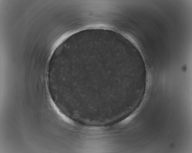 X0000116120989201001040946