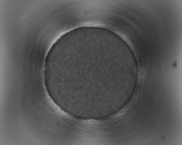 X0000116120992201001040946