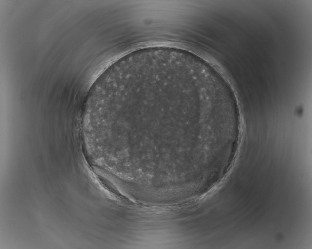 X0000116120993201001040946