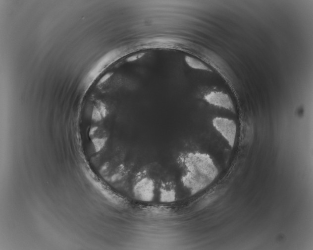 X0000116120994201001040946