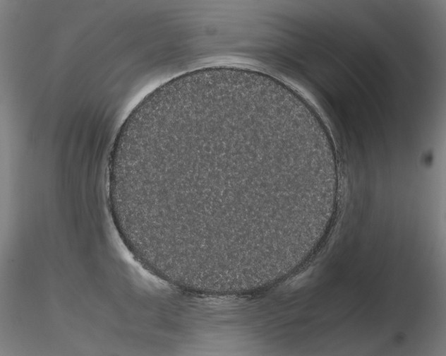 X0000116120999201001040946
