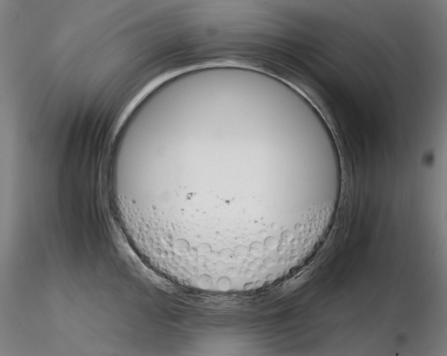 X0000116121000201001040946