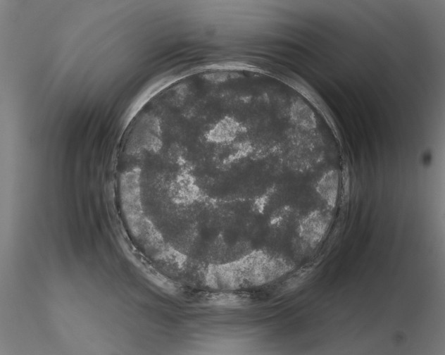 X0000116121002201001040946
