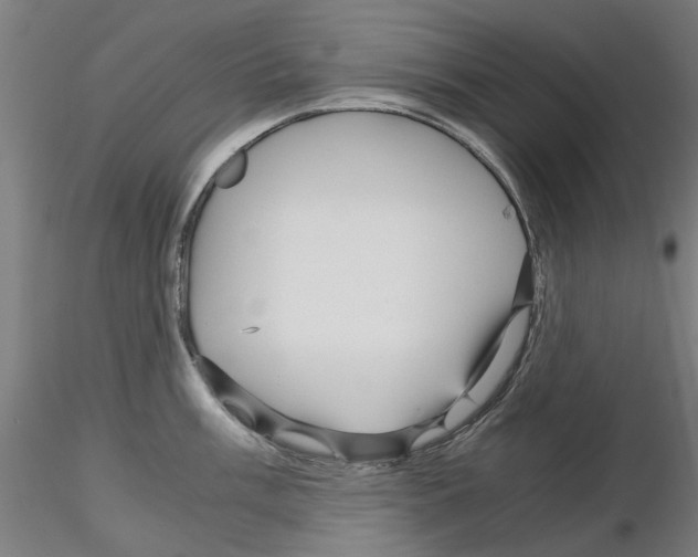 X0000116121003201001040946