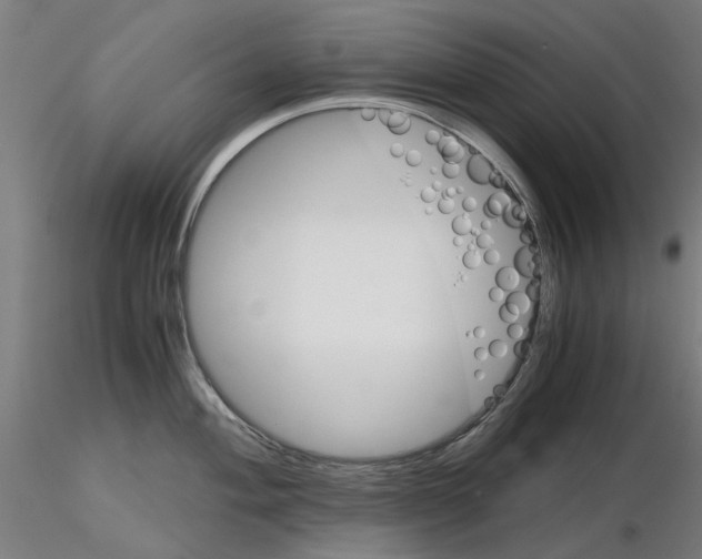 X0000116121004201001040946