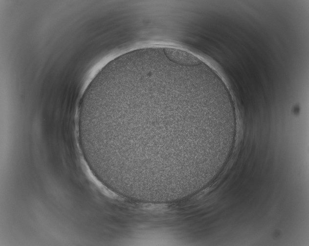 X0000116121006201001040946