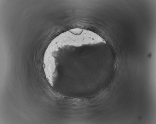 X0000116121009201001040946