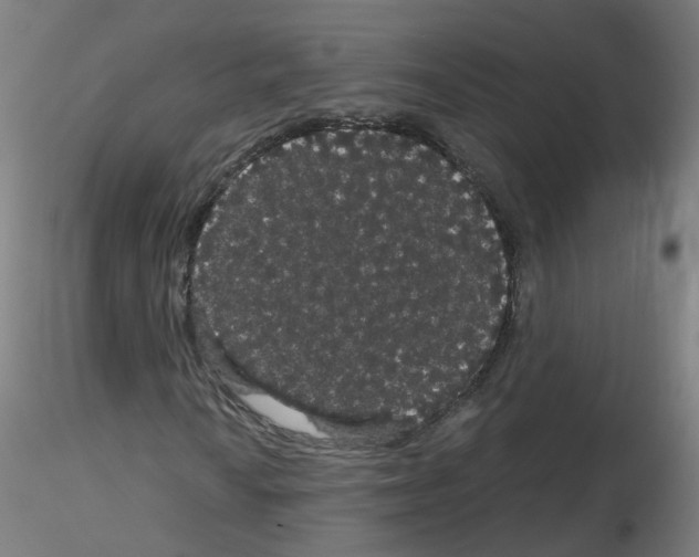 X0000116121010201001040946