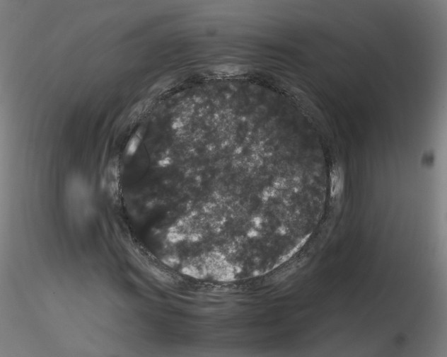X0000116121011201001040946