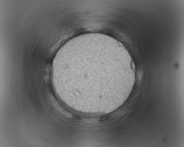 X0000116121012201001040946