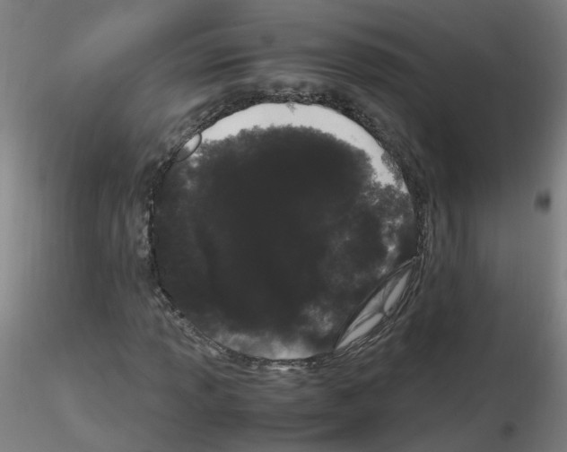 X0000116121013201001040946