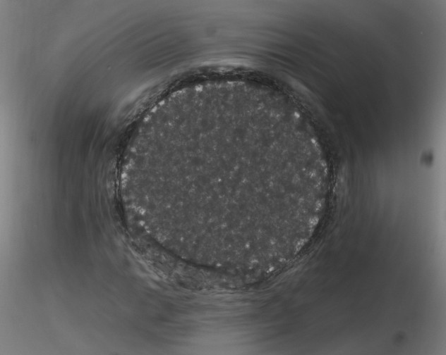 X0000116121014201001040946