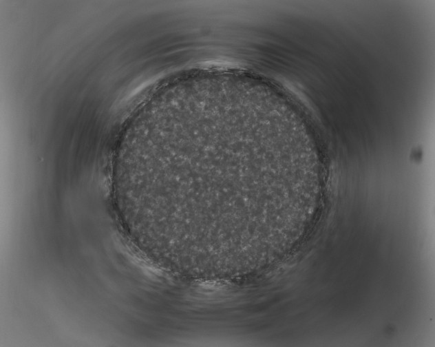 X0000116121015201001040946