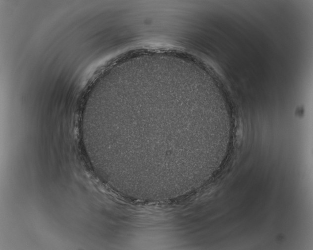 X0000116121016201001040946