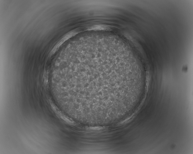 X0000116121017201001040946