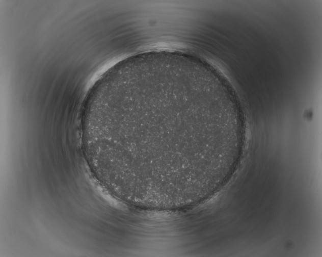 X0000116121018201001040946