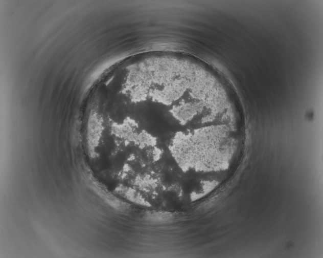 X0000116121019201001040946