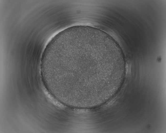 X0000116121020201001040946