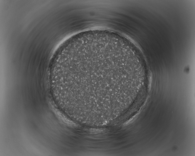 X0000116121021201001040946