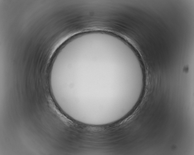X0000116121023201001040946