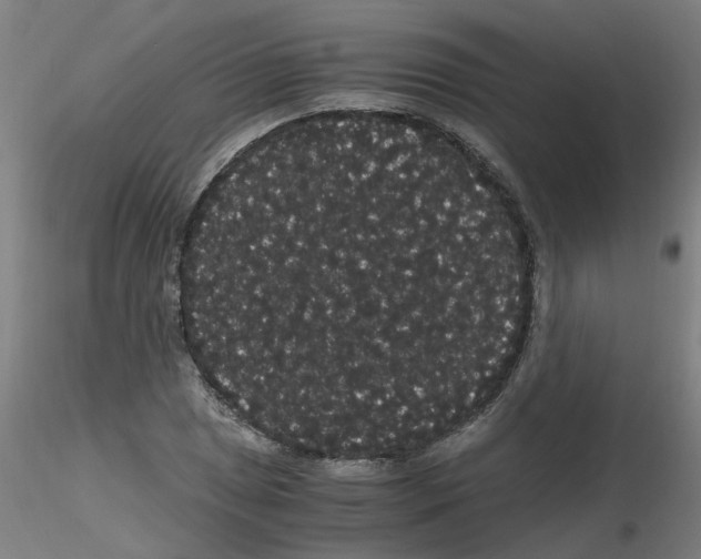 X0000116121025201001040946